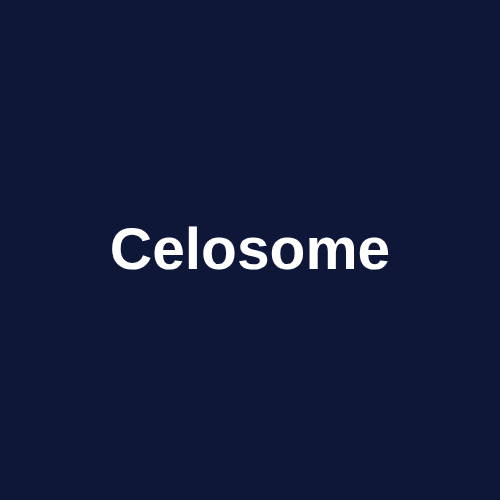 Celosome