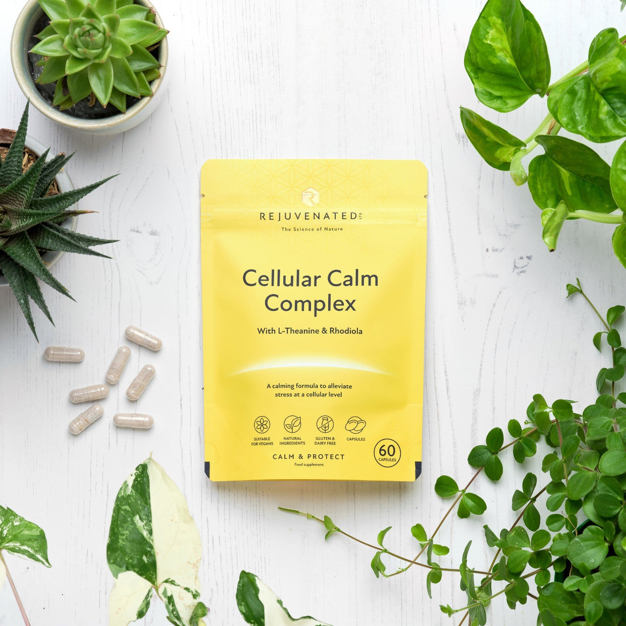 Rejuvenated Cellular Calm Complex — 60 Capsules (500 g)